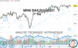 MINI DAX FULL0624 - 1 Std.