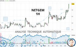 NETGEM - 1H
