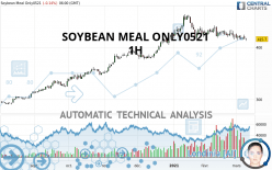 SOYBEAN MEAL ONLY0521 - 1H