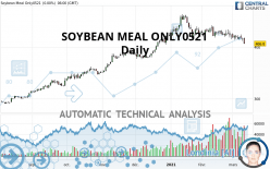 SOYBEAN MEAL ONLY0521 - Daily