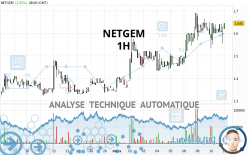 NETGEM - 1H