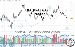 NATURAL GAS - Täglich