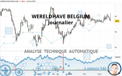 WERELDHAVE BELGIUM - Journalier