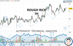 ROUGH RICE - 1H