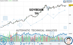 SOYBEAN - 1H