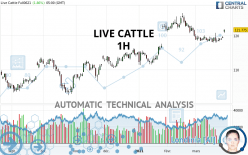 LIVE CATTLE - 1H
