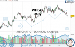 WHEAT - Daily