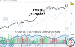 CORN - Dagelijks