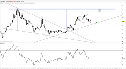 GUILLEMOT - 4H