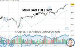 MINI DAX FULL0624 - 1 Std.