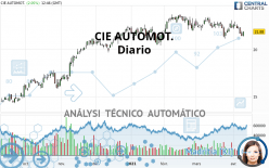 CIE AUTOMOT. - Diario