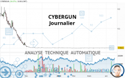 CYBERGUN - Diario