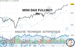 MINI DAX FULL0624 - 1 Std.