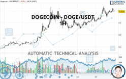 DOGECOIN - DOGE/USDT - 1 uur