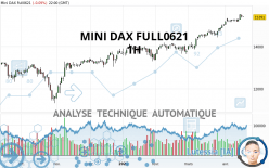 MINI DAX FULL0624 - 1 Std.