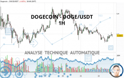 DOGECOIN - DOGE/USDT - 1 uur