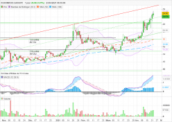 LABO EUROMEDIS - Daily