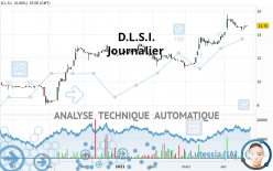 D.L.S.I. - Journalier
