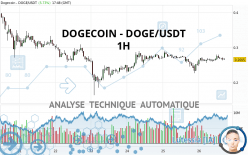 DOGECOIN - DOGE/USDT - 1 uur