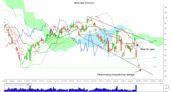 MONSANTO COMPANY - Daily