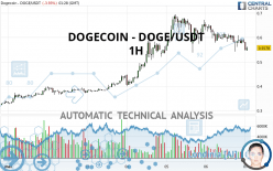 DOGECOIN - DOGE/USDT - 1 uur