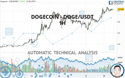 DOGECOIN - DOGE/USDT - 1 uur