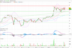 BASSAC - Daily