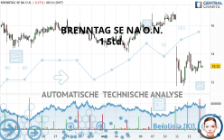 BRENNTAG SE NA O.N. - 1 Std.