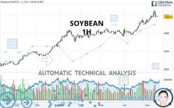 SOYBEAN - 1H