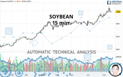 SOYBEAN - 15 min.