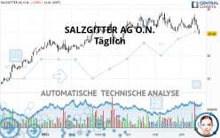 SALZGITTER AG O.N. - Journalier