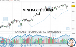 MINI DAX FULL0624 - 1 uur