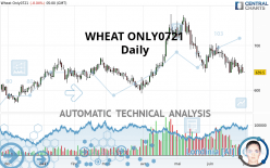WHEAT ONLY0721 - Daily