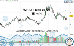 WHEAT ONLY0721 - 15 min.