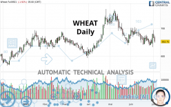 WHEAT - Dagelijks