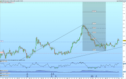 SARAS - Daily