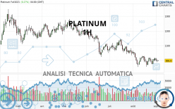 PLATINUM - 1 uur