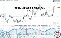 TEAMVIEWER SEINH O.N. - 1 uur