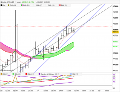 BITCOIN - BTC/USD - 1 Std.