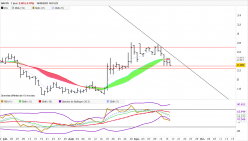 NAVYA - Daily