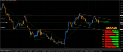 USD/CAD - 4 uur