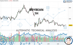 SOYBEAN - 1H