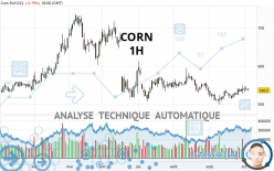 CORN - 1 Std.