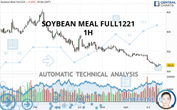 SOYBEAN MEAL FULL0524 - 1H