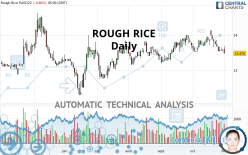 ROUGH RICE - Giornaliero