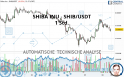 SHIBA INU - SHIB/USDT - 1 Std.