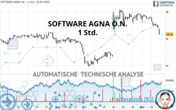 SOFTWARE AGNA O.N. - 1 Std.