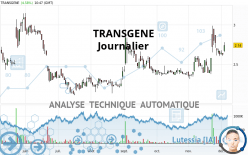 TRANSGENE - Giornaliero