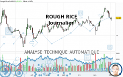 ROUGH RICE - Giornaliero