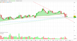 STURM RUGER & CO. - Weekly